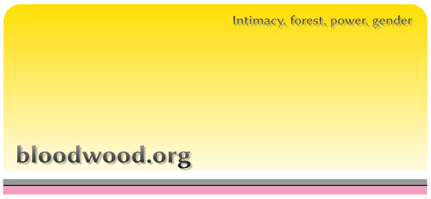 arianne bloodwood